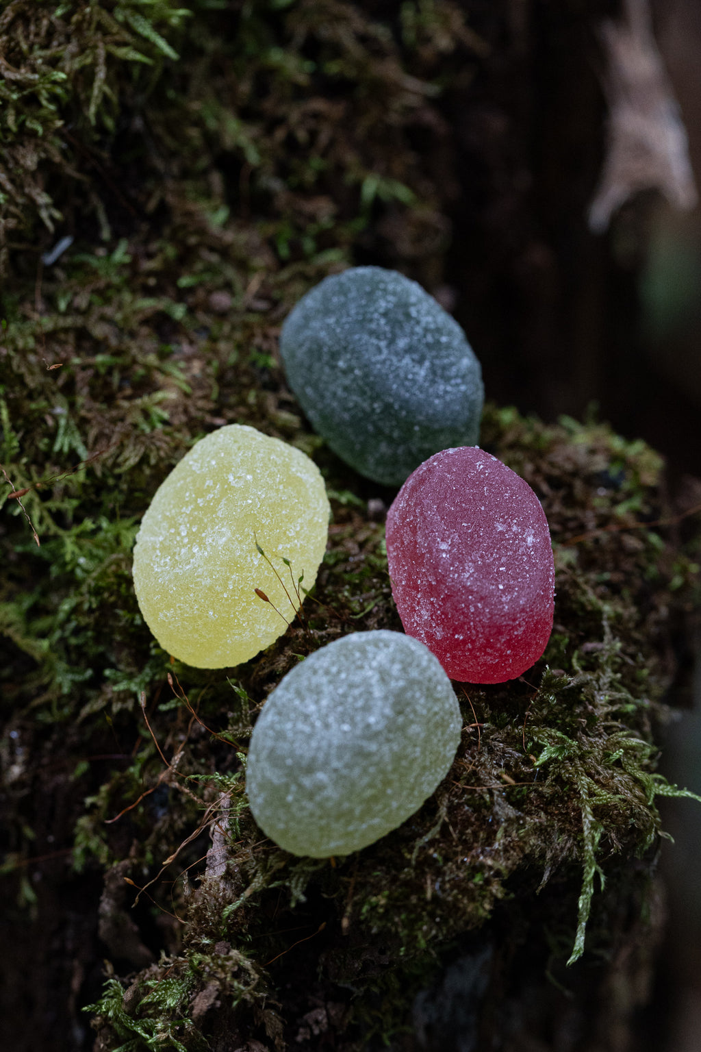 Gelèe Sambuco