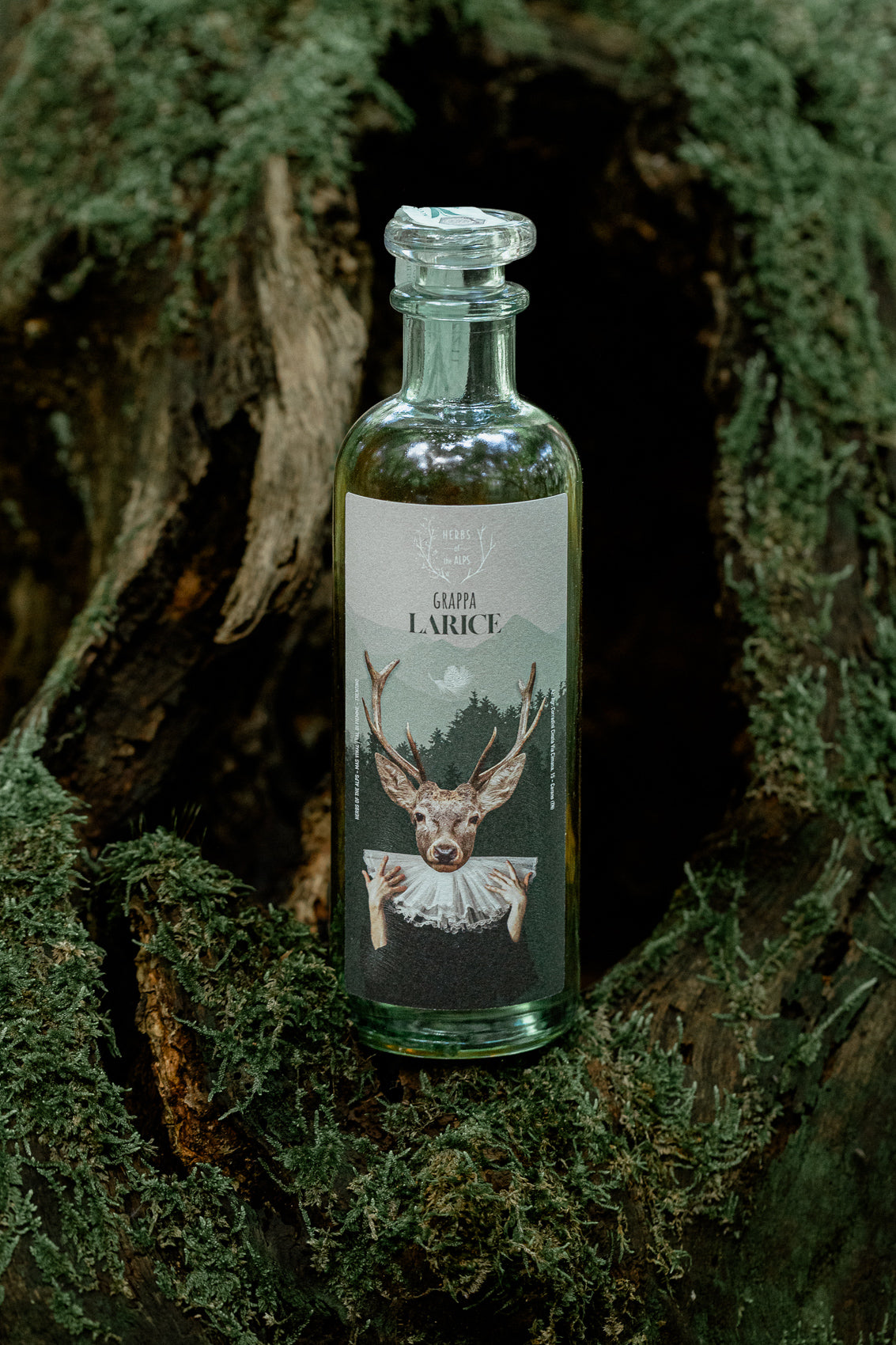 Grappa al larice