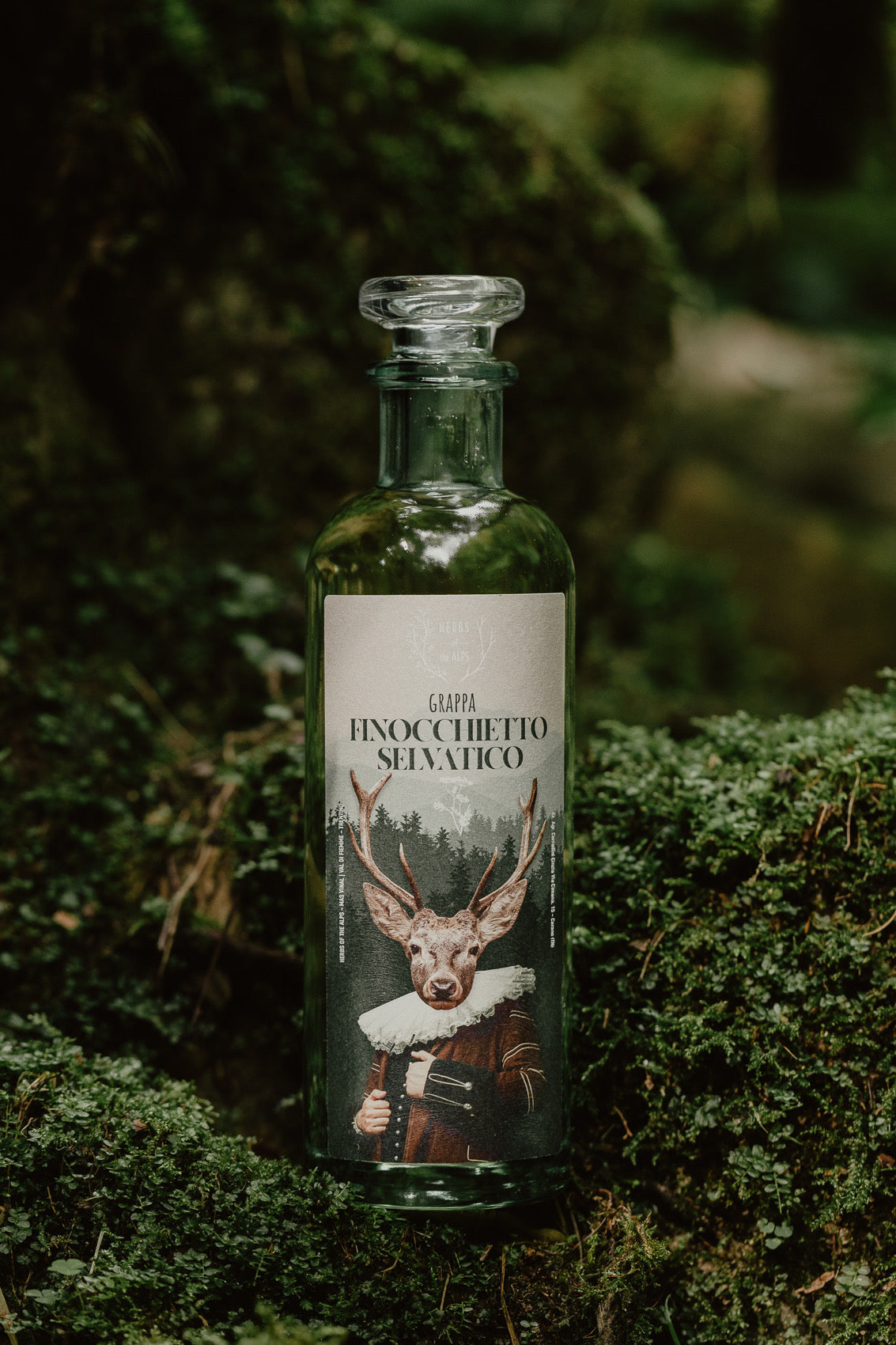 Grappa al finocchietto selvatico