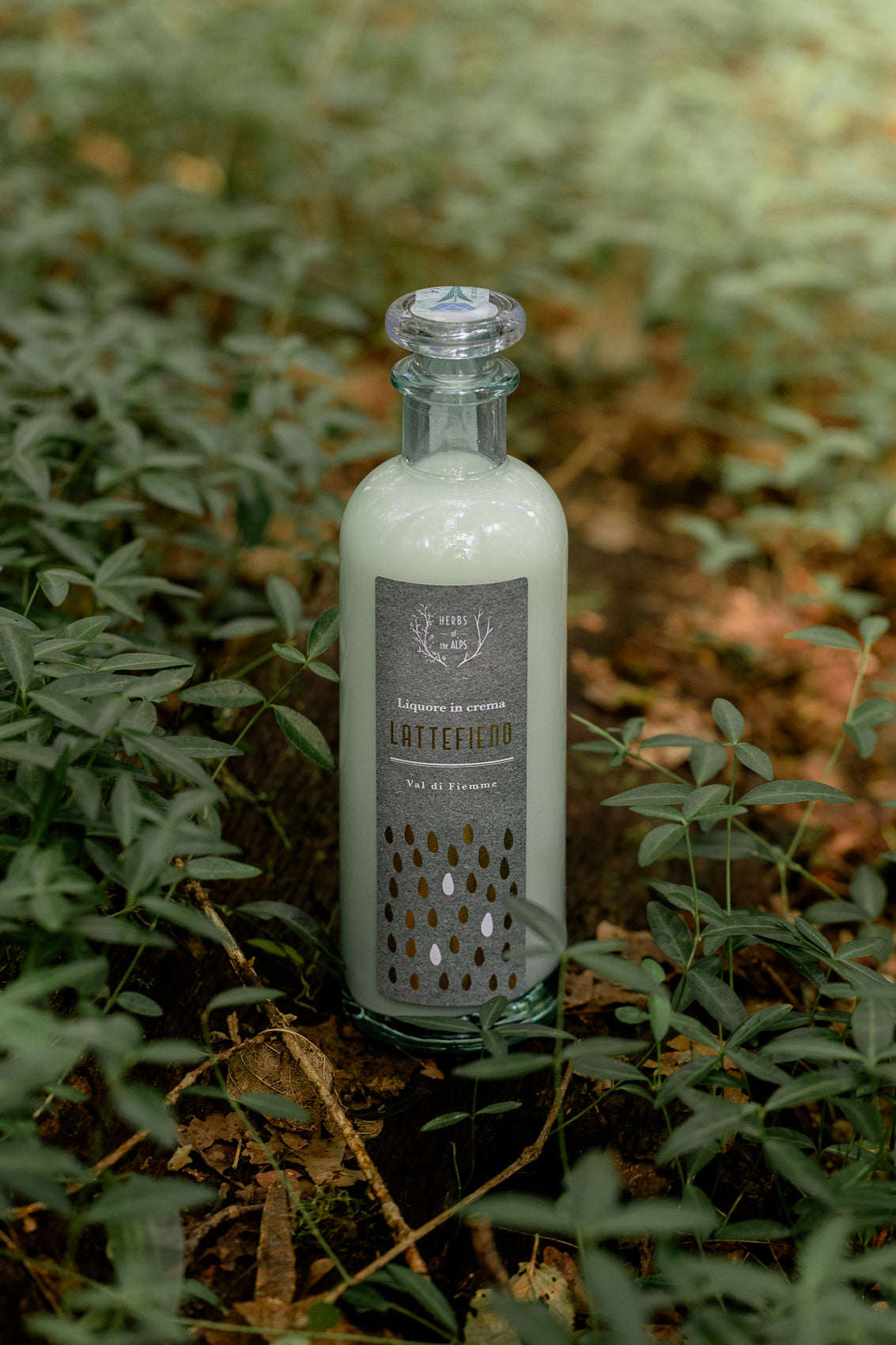 Liquore Lattefieno